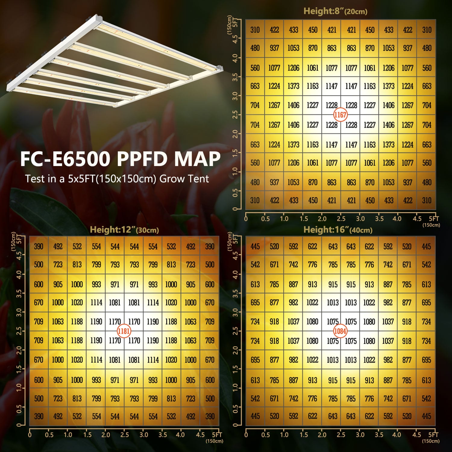 fc-e6500 mars-hydro PPFD map